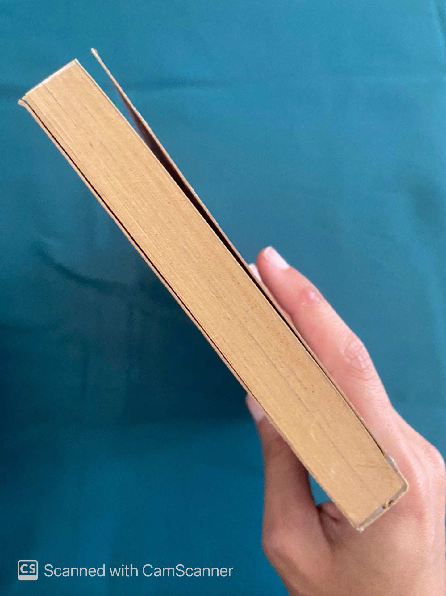 Churchill | Alan Moorehead