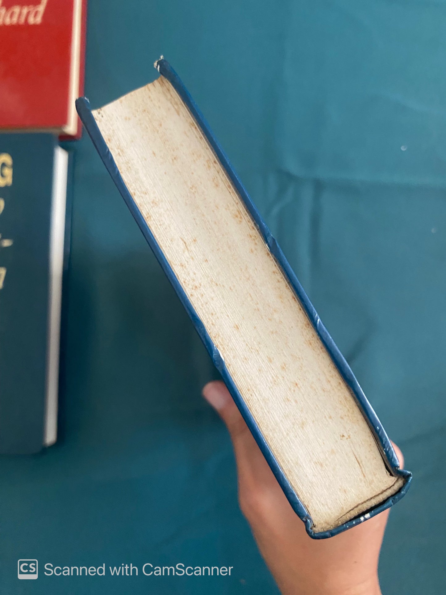 Las torres de silencio | Paul Scott