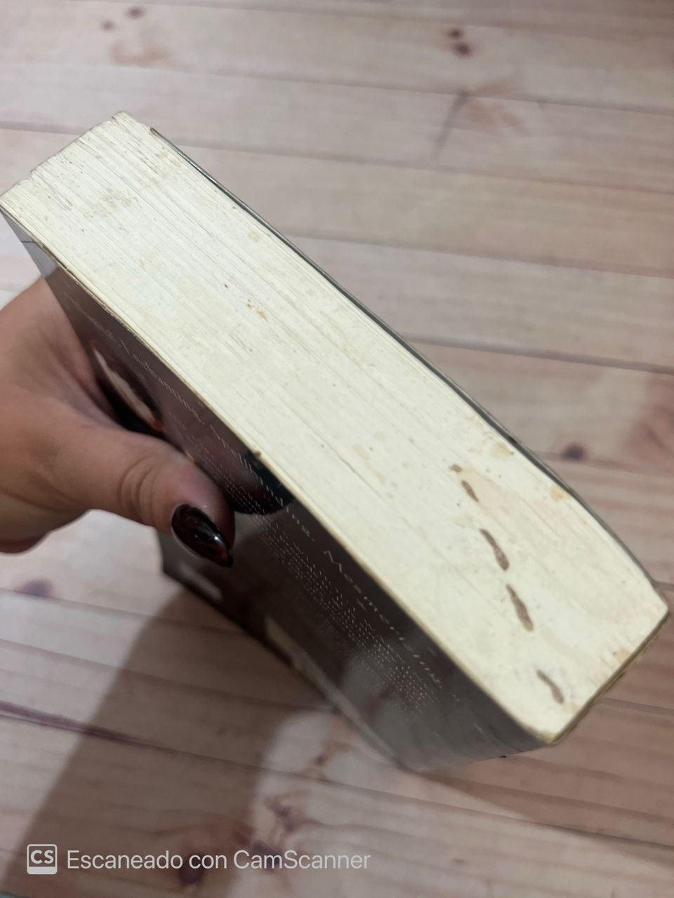 The Night Circus | Erin Morgenstern