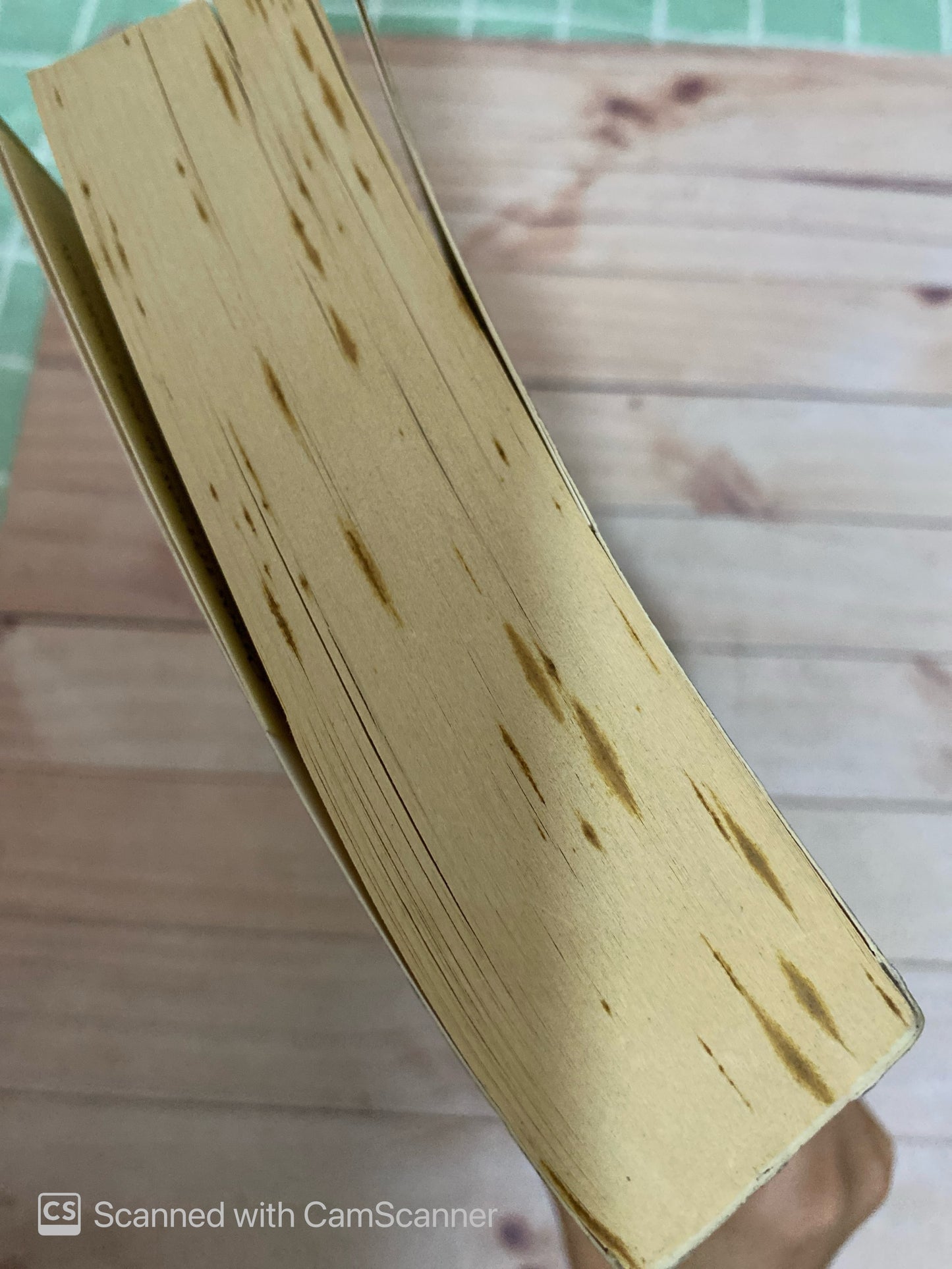 La predicción del astrólogo | Teo Palacios