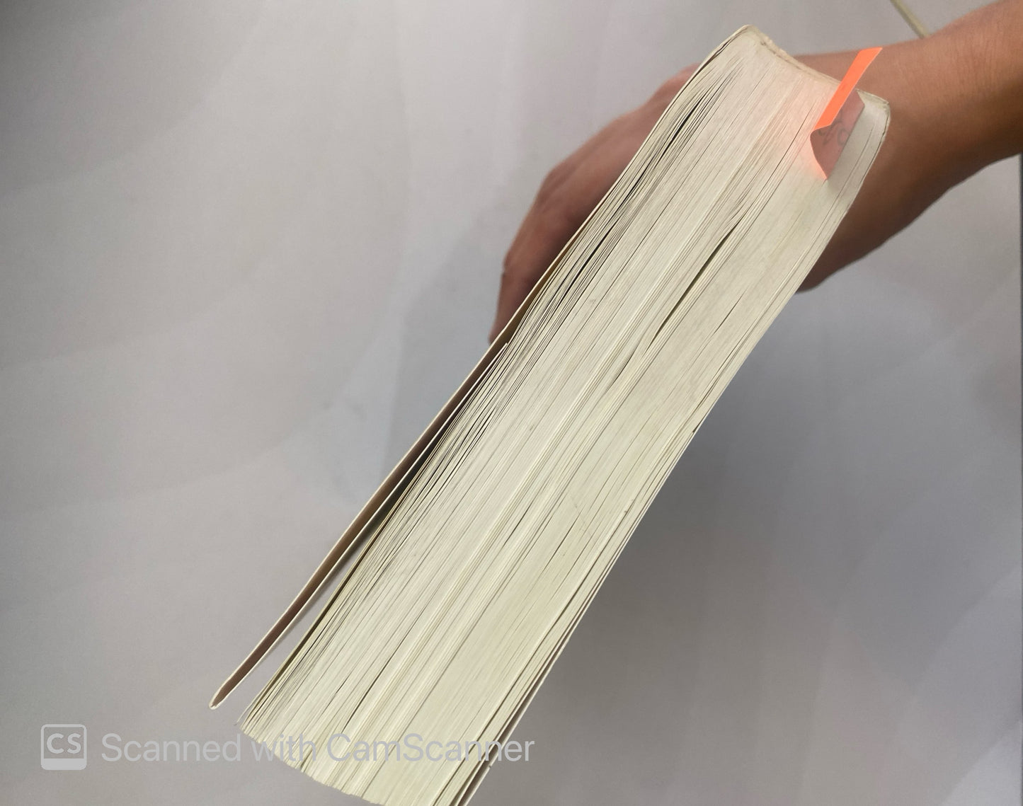 Permiso para sentir | Alfredo Bryce Echenique