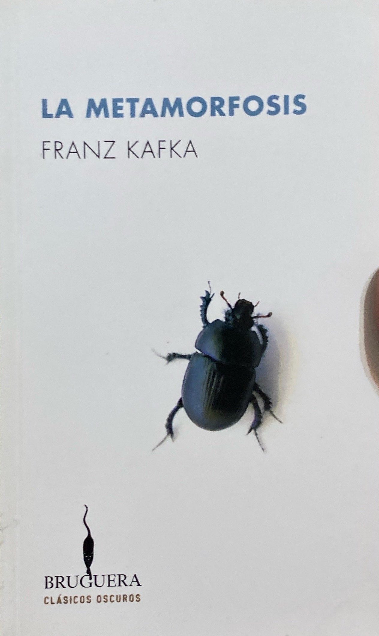 La metamorfosis | Franz Kafka