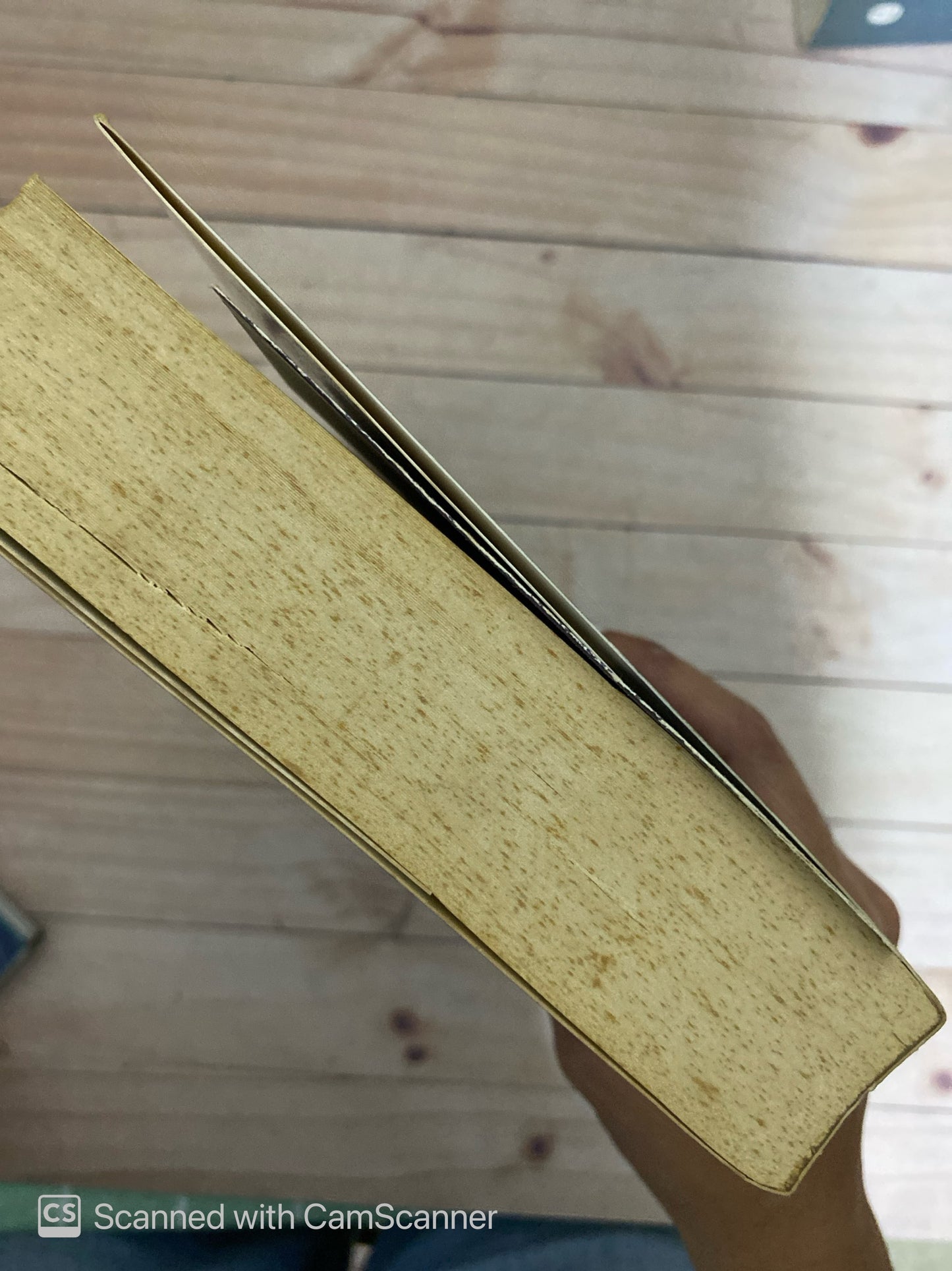 Inevitable desastre | Jamie McGuire