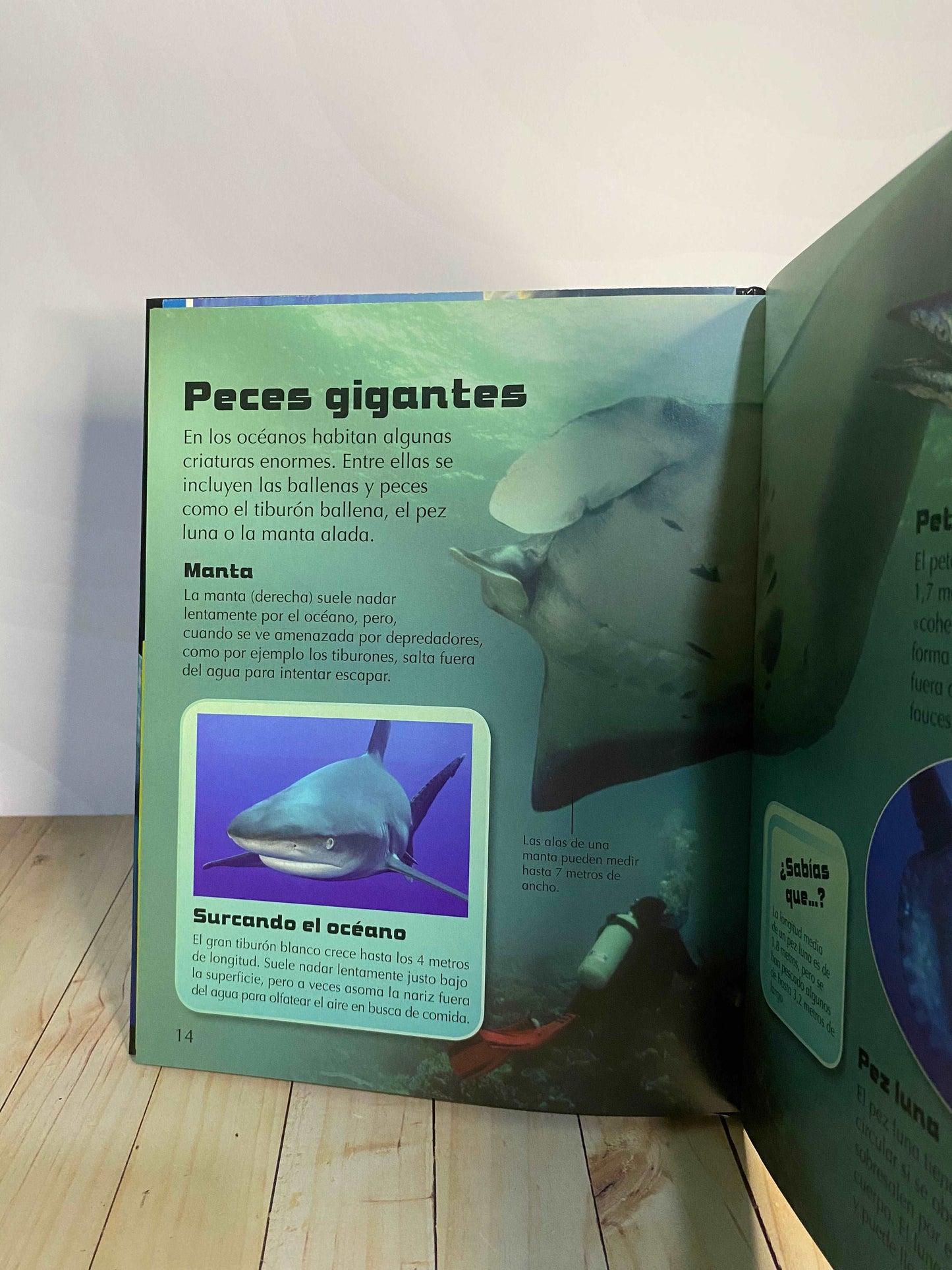 Descubre los secretos de las profundidades del océano