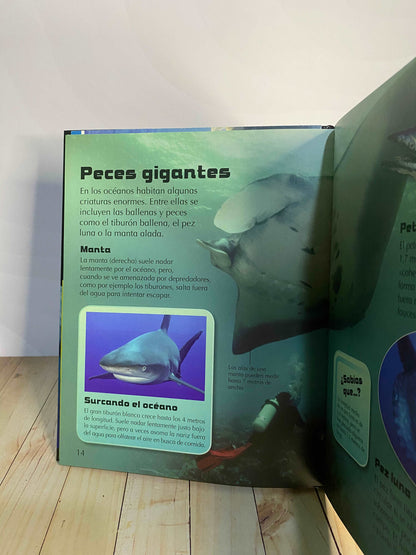 Descubre los secretos de las profundidades del océano