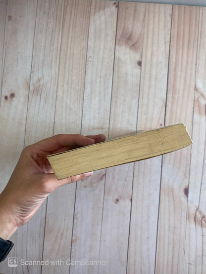 Ágata, el arca de noel | Armando José Sequera