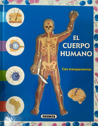 El cuerpo humano con transparencias