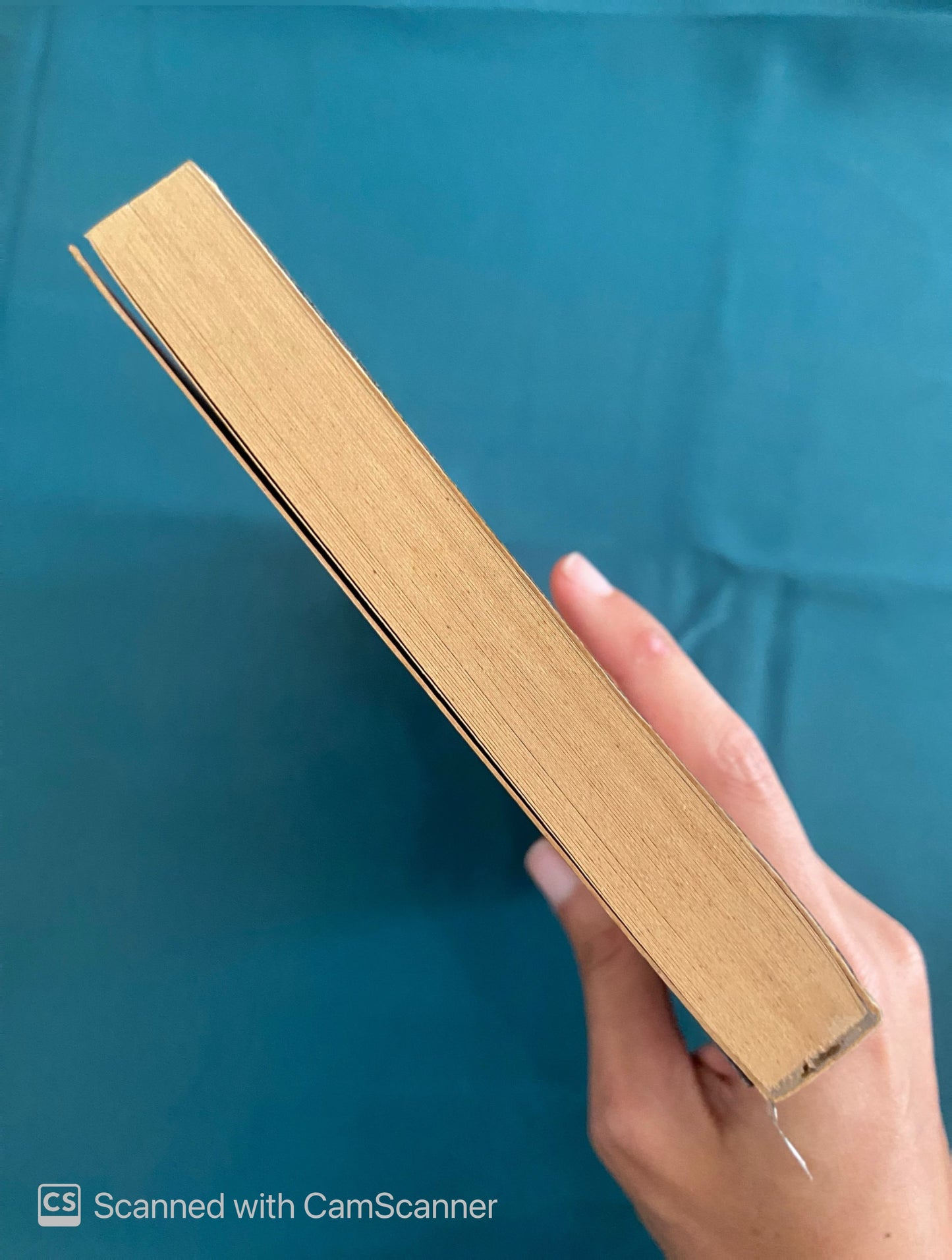 Miguel Angel | Heinrich Koch