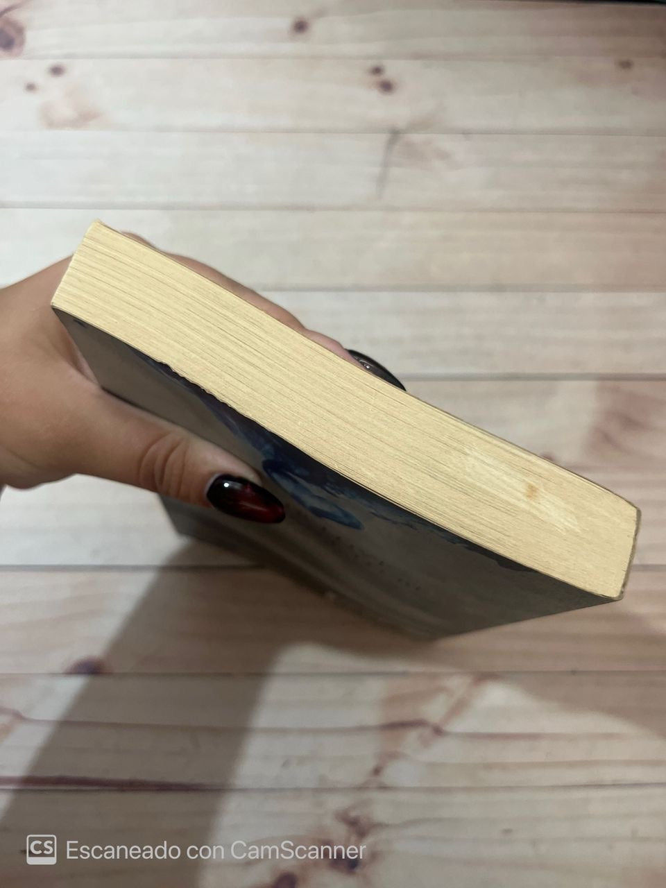 Carrier of the mark | Leigh Fallon