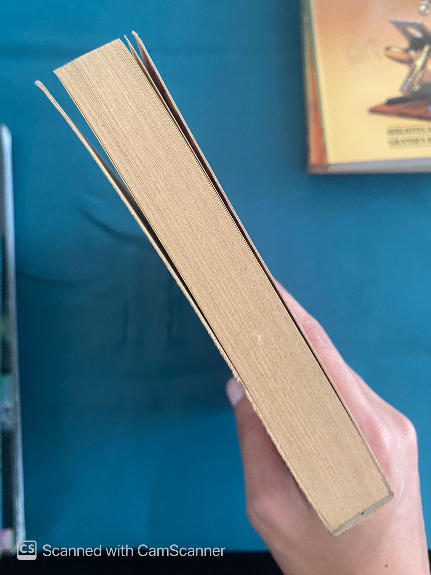 Marx | Werner Blumenberg