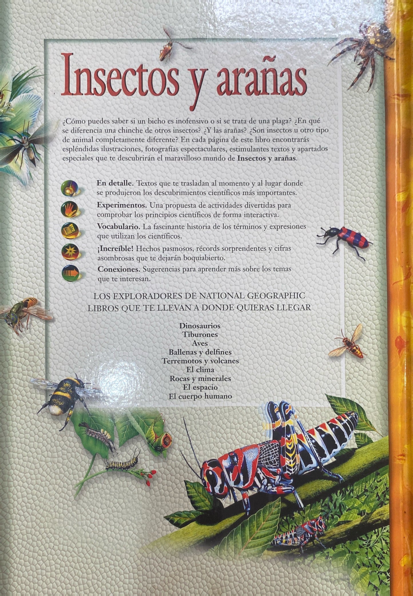 Los exploradores de Insectos y arañas