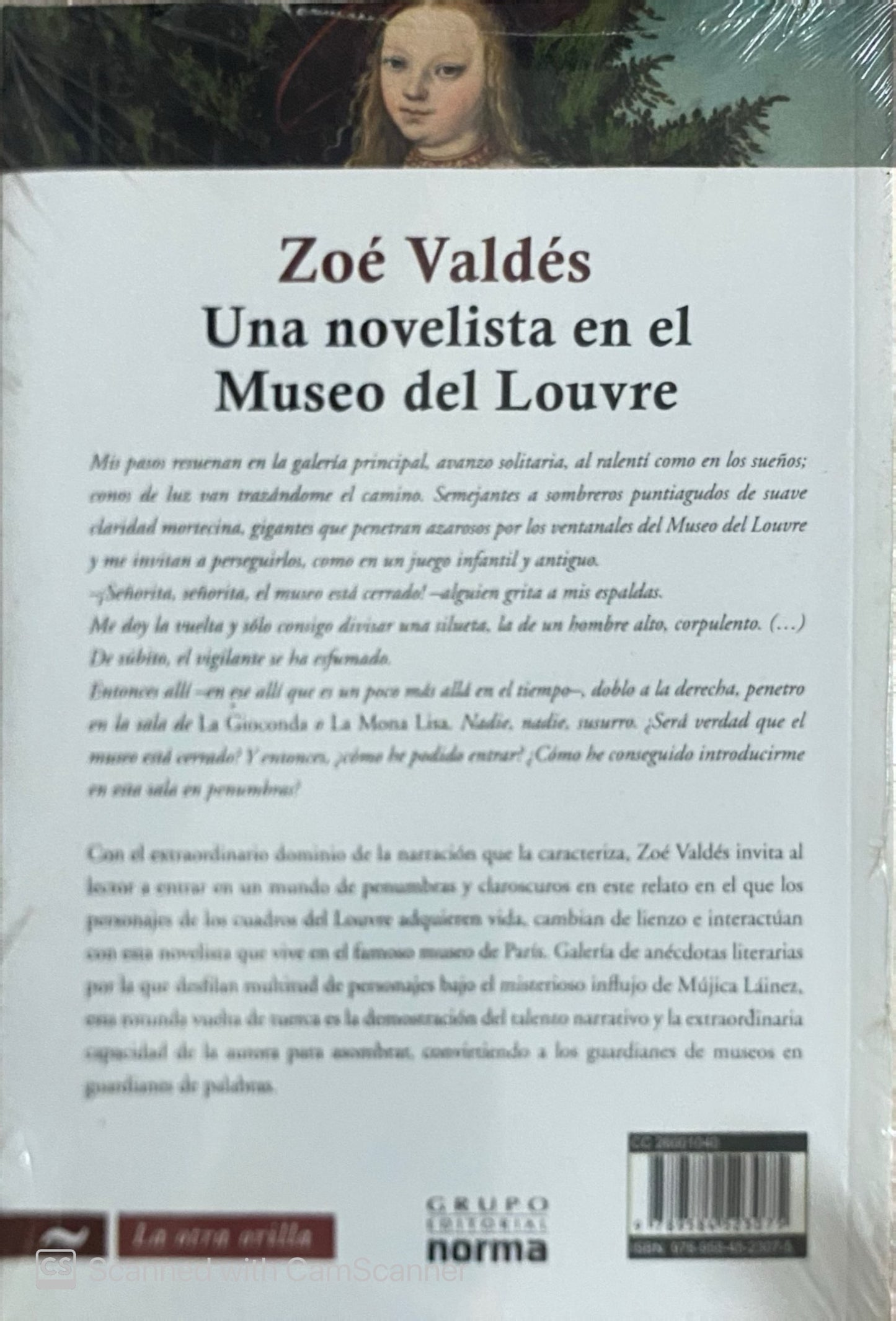 Una novelista en el museo Louvre | Zoé Valdés