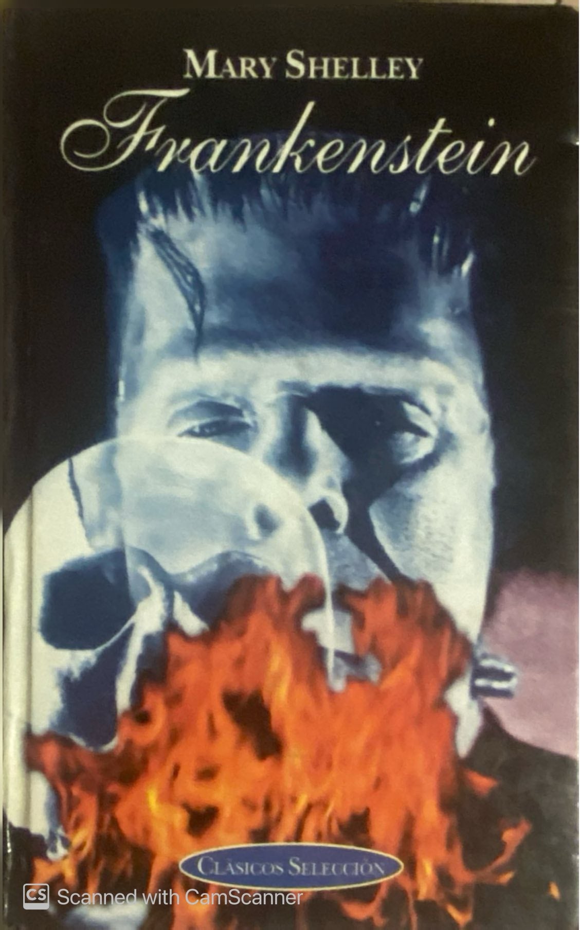 Frankenstein | Mary Shelley