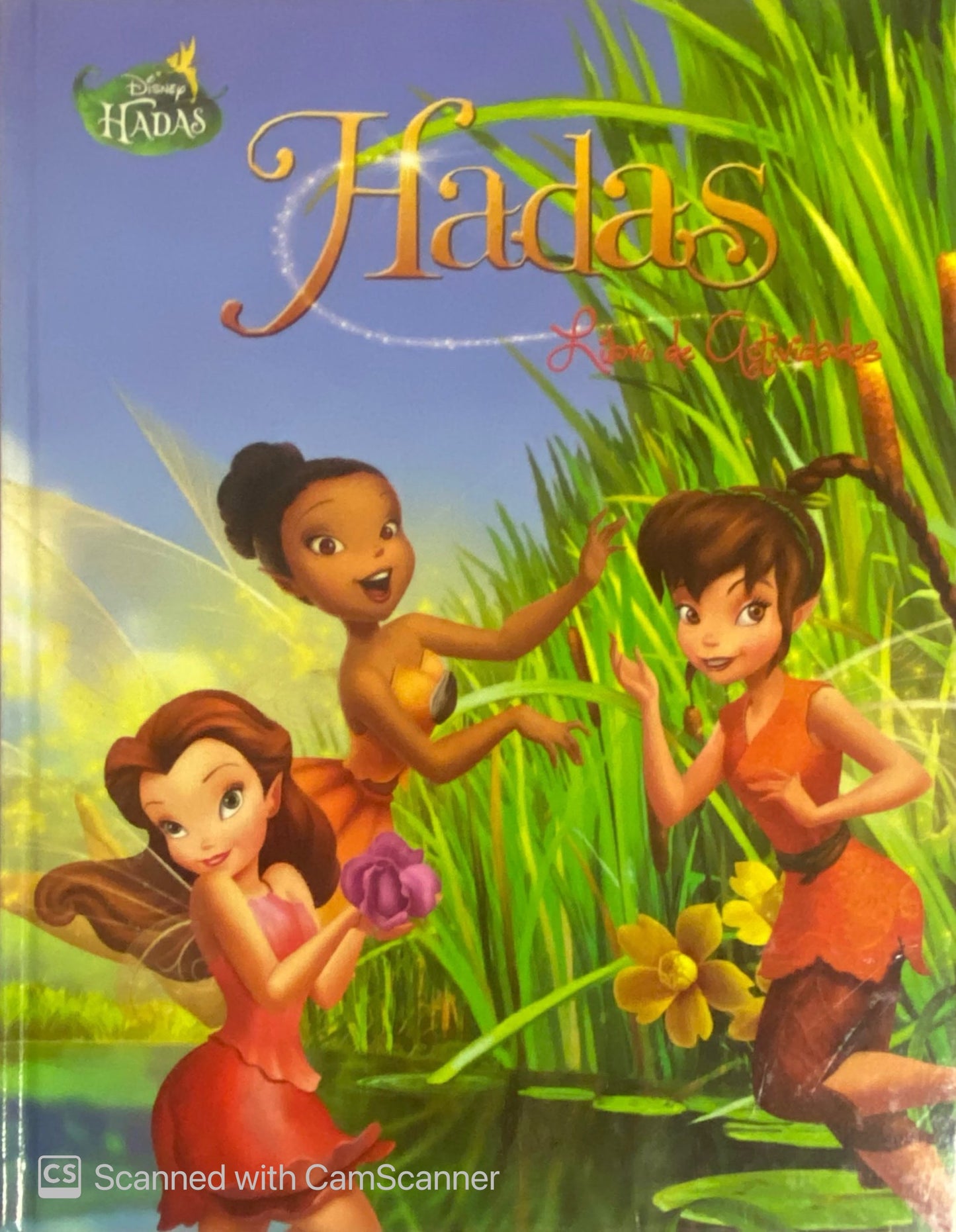 Hadas - Libros de actividades