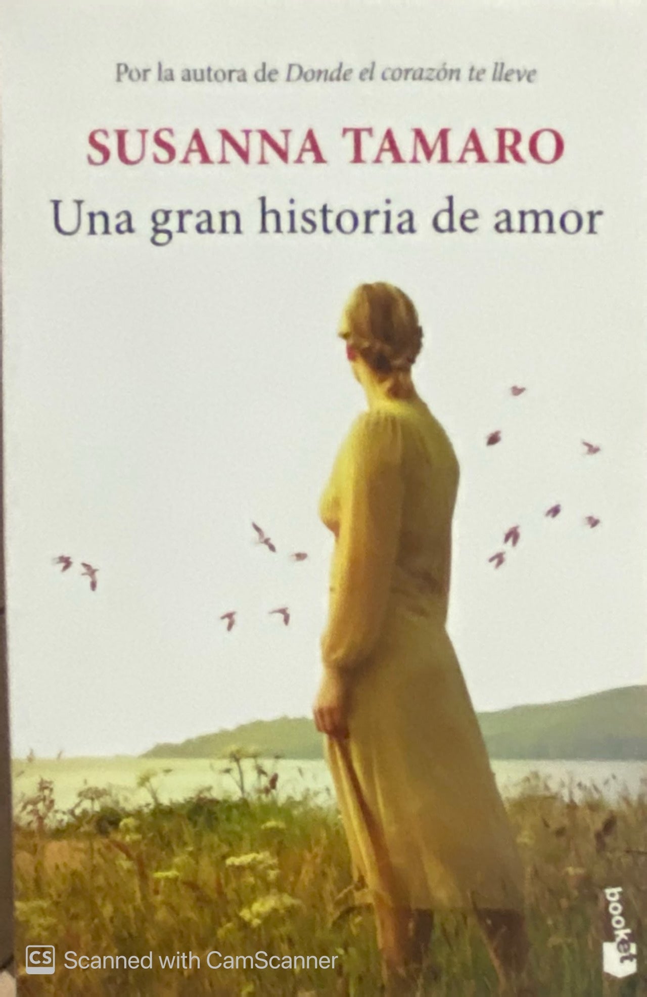 Una gran historia de amor | Susanna Tamaro