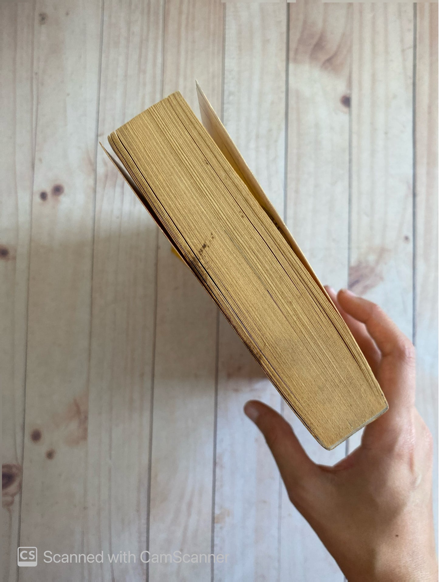 Mad Dogs | Robert Muchamore