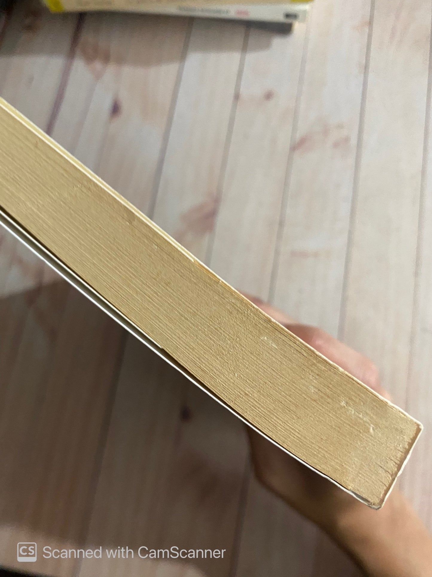 Telenovela adentro | Carolina Acosta-Alzuru