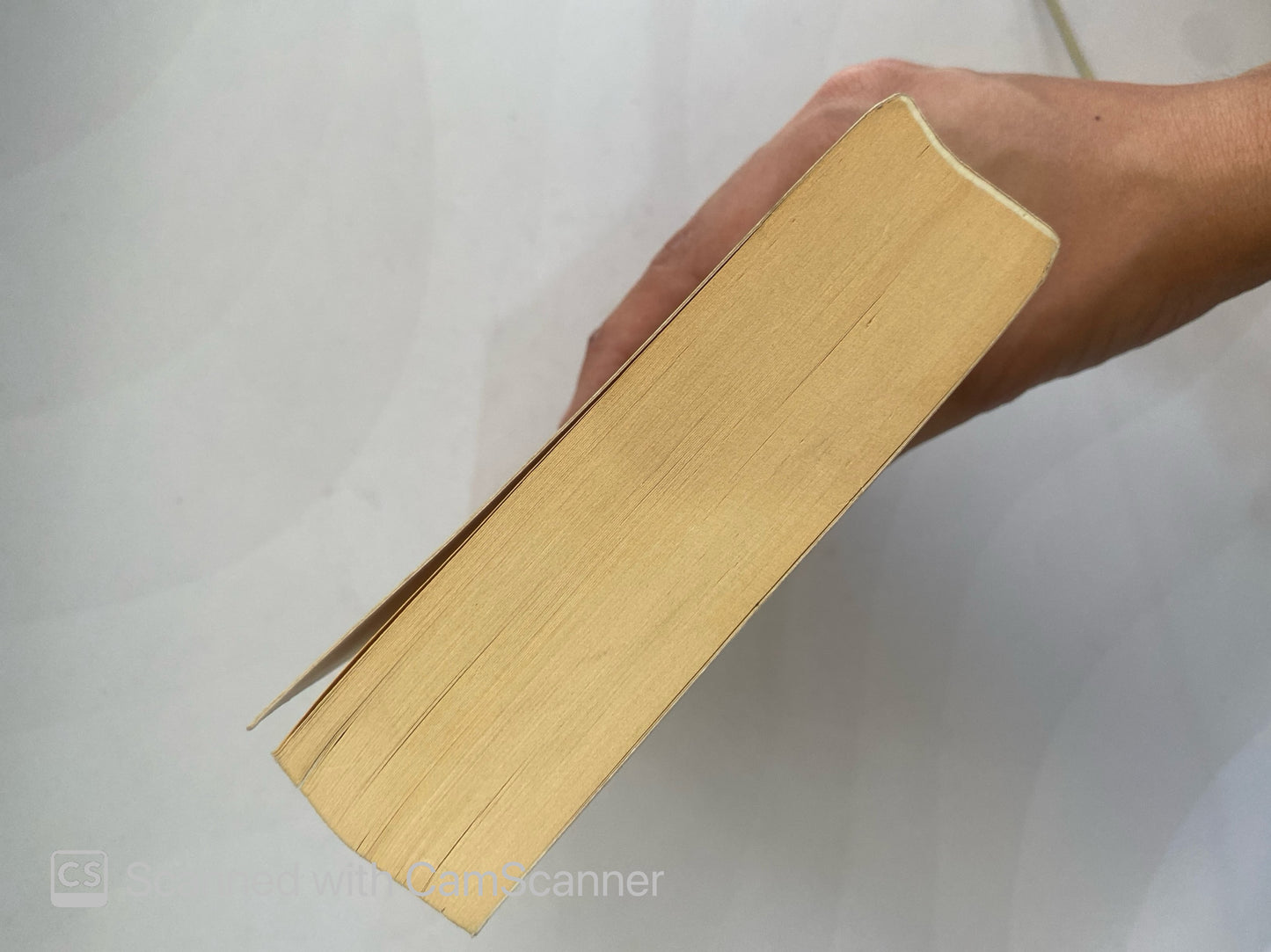 El elefante de Marfil | Narea Riesco