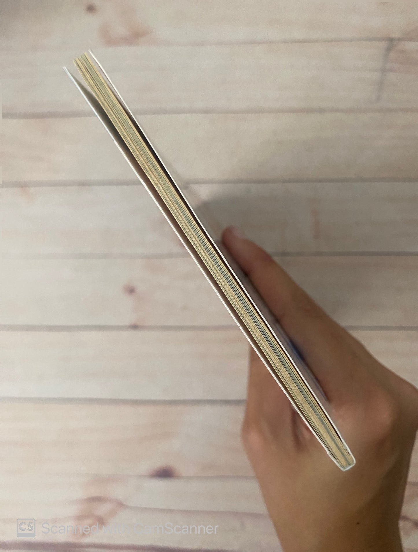 Radar | César Segovia