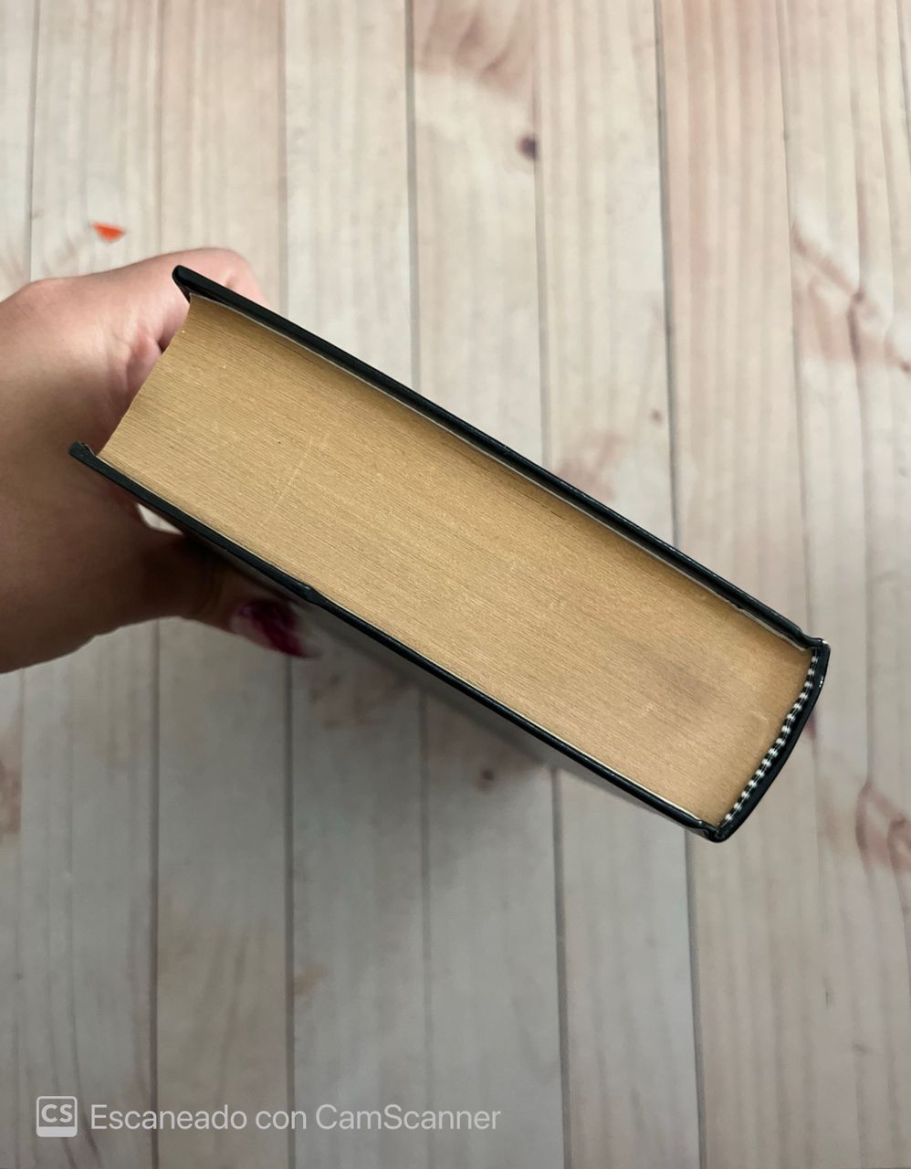 El juego de ripley, Crimenes imaginarios y el juego del escondite | Patricia Highsmith
