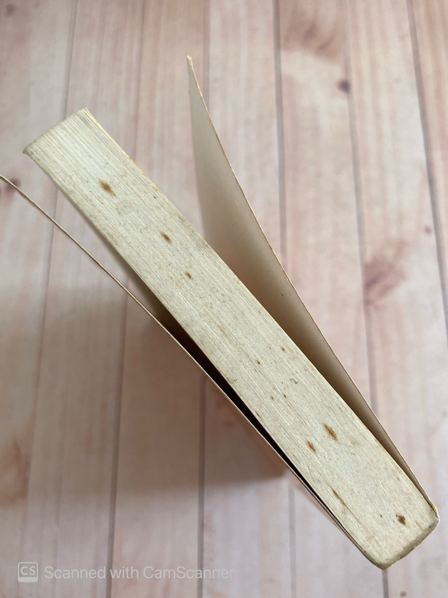 El temible Blott | Tom sharpe