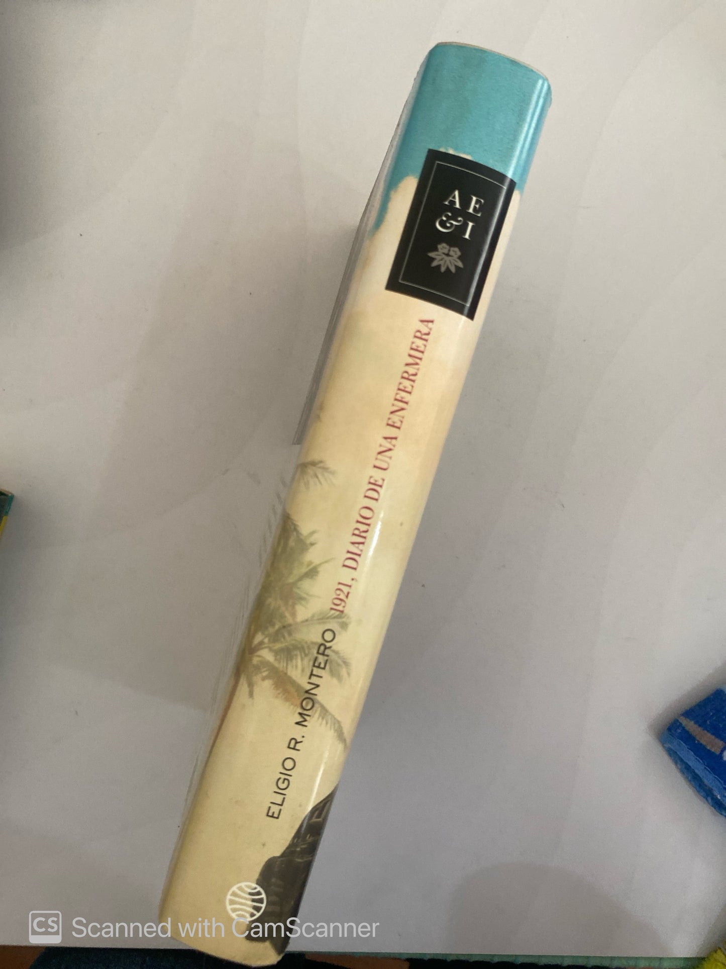 1921: Diario de una enfermera | Eligio R. Montero