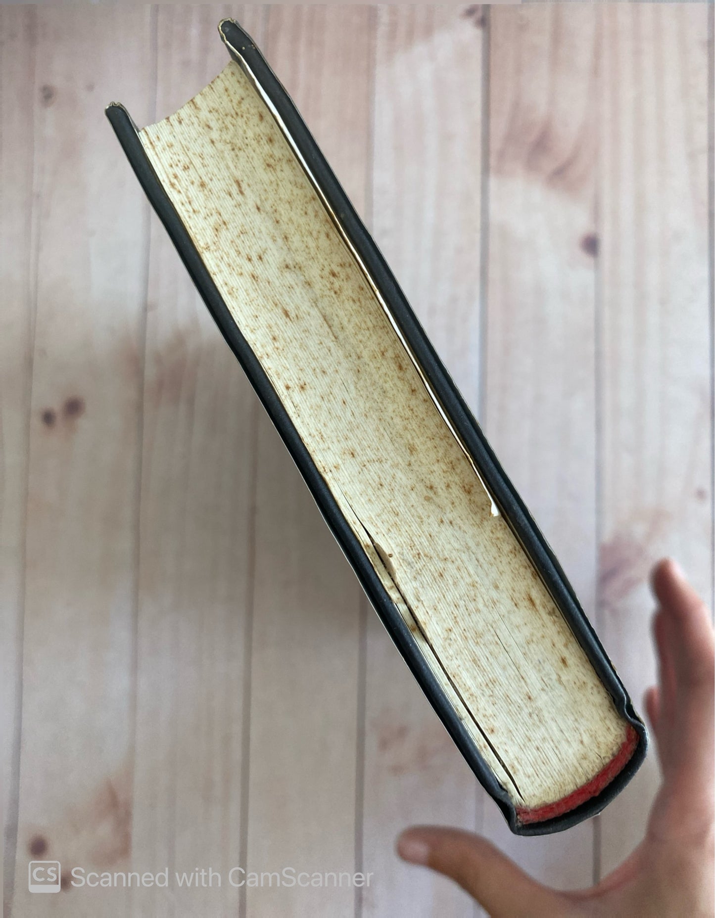 Nido de víboras | Linda Davies