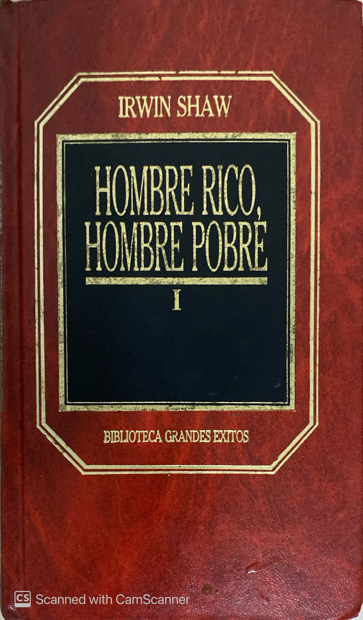 Hombre rico, Hombre pobre | Irwin Shaw