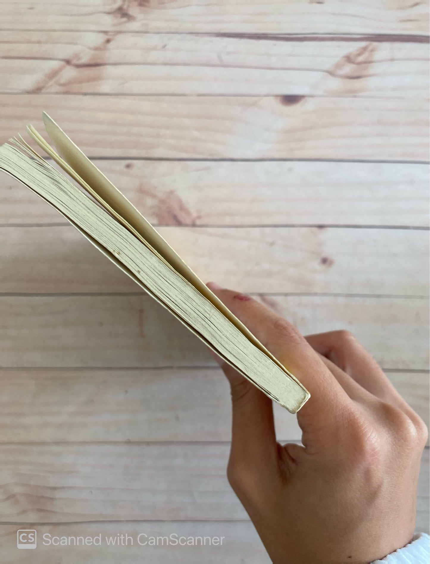 Nuestras hazañas en la cueva | Thomas Hardy