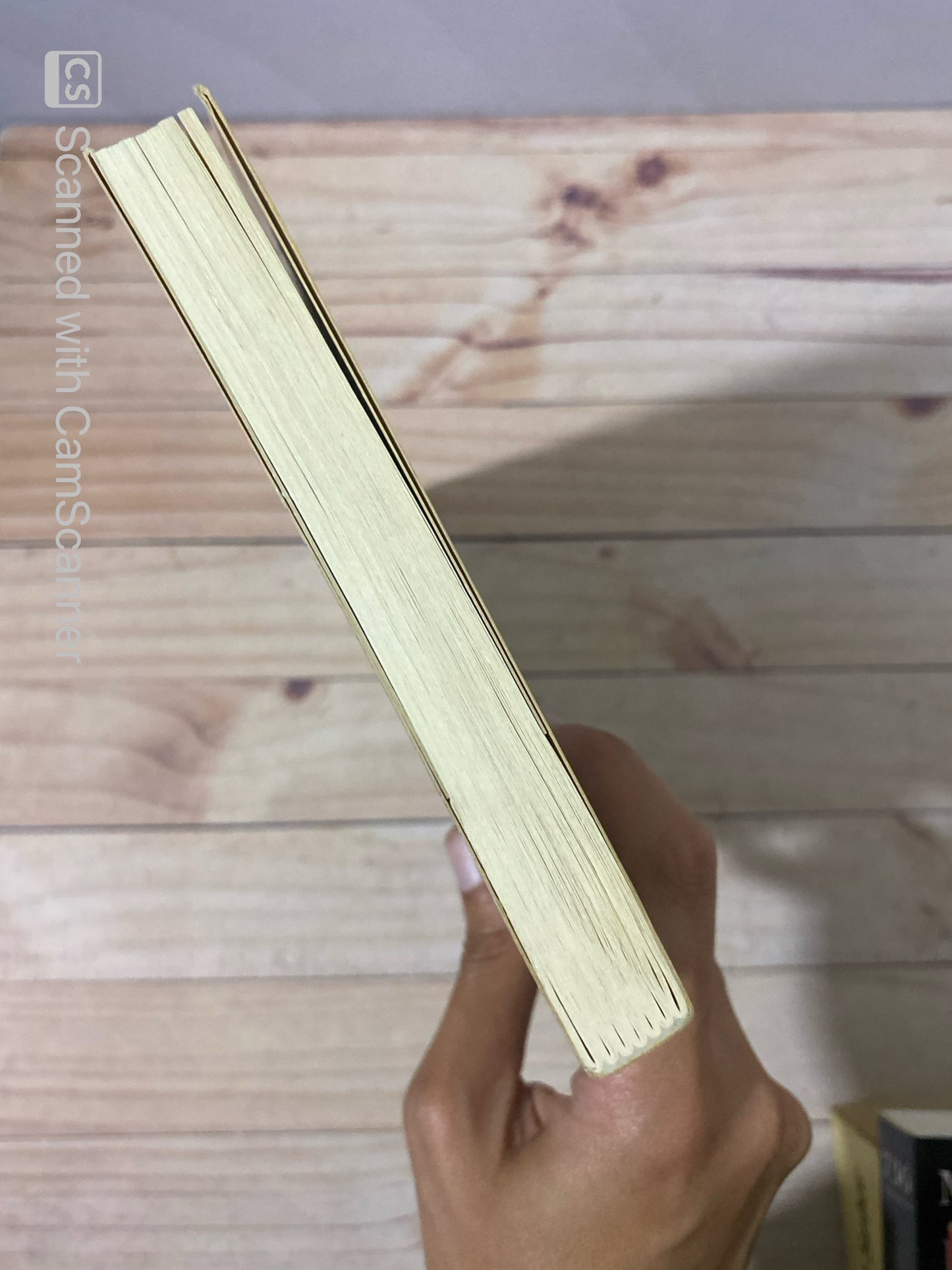 Un lugar llamado oreja de perro | Iván Thays