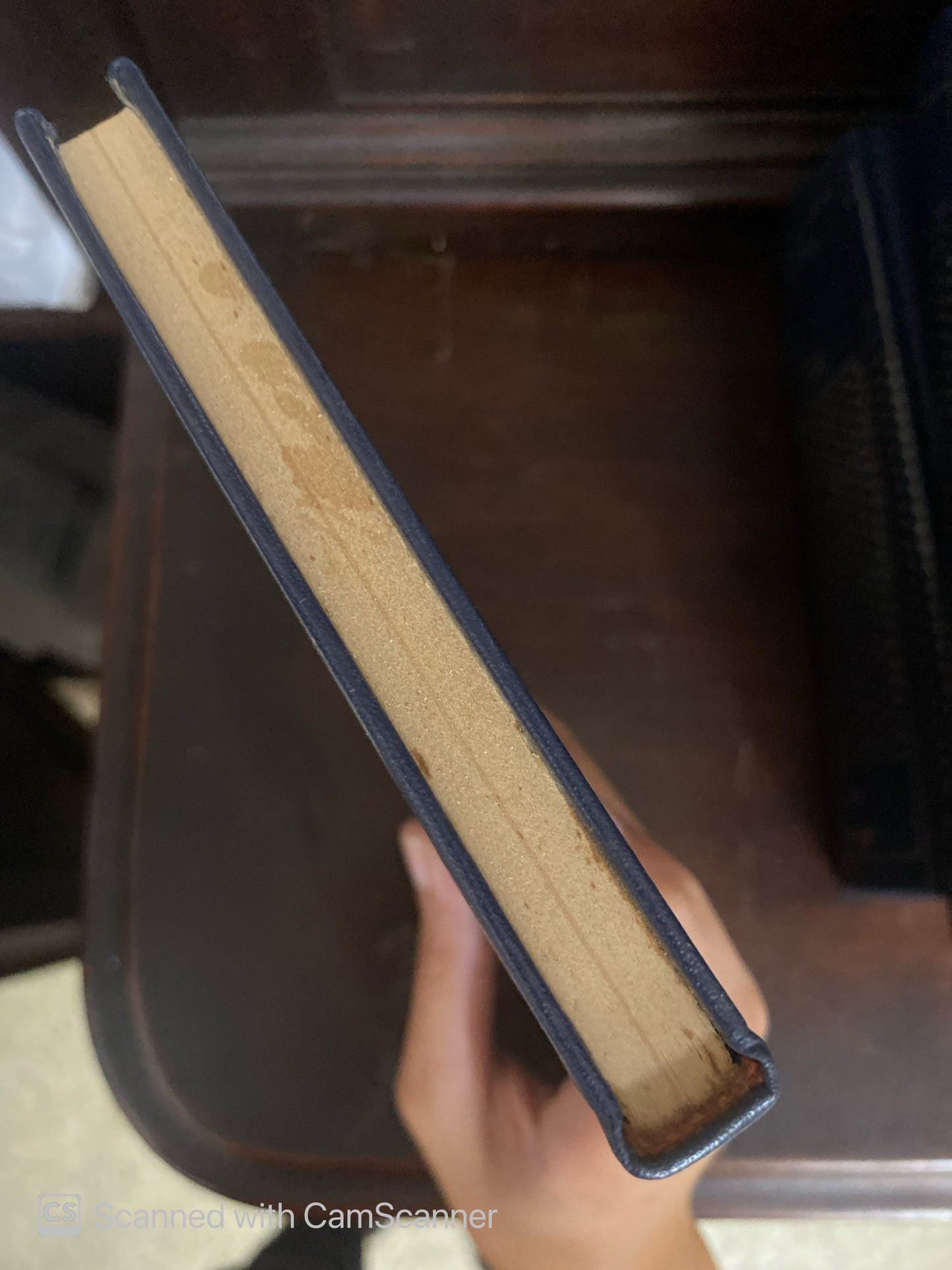 Mithustórima y otros poemas | Yorgos Seferis