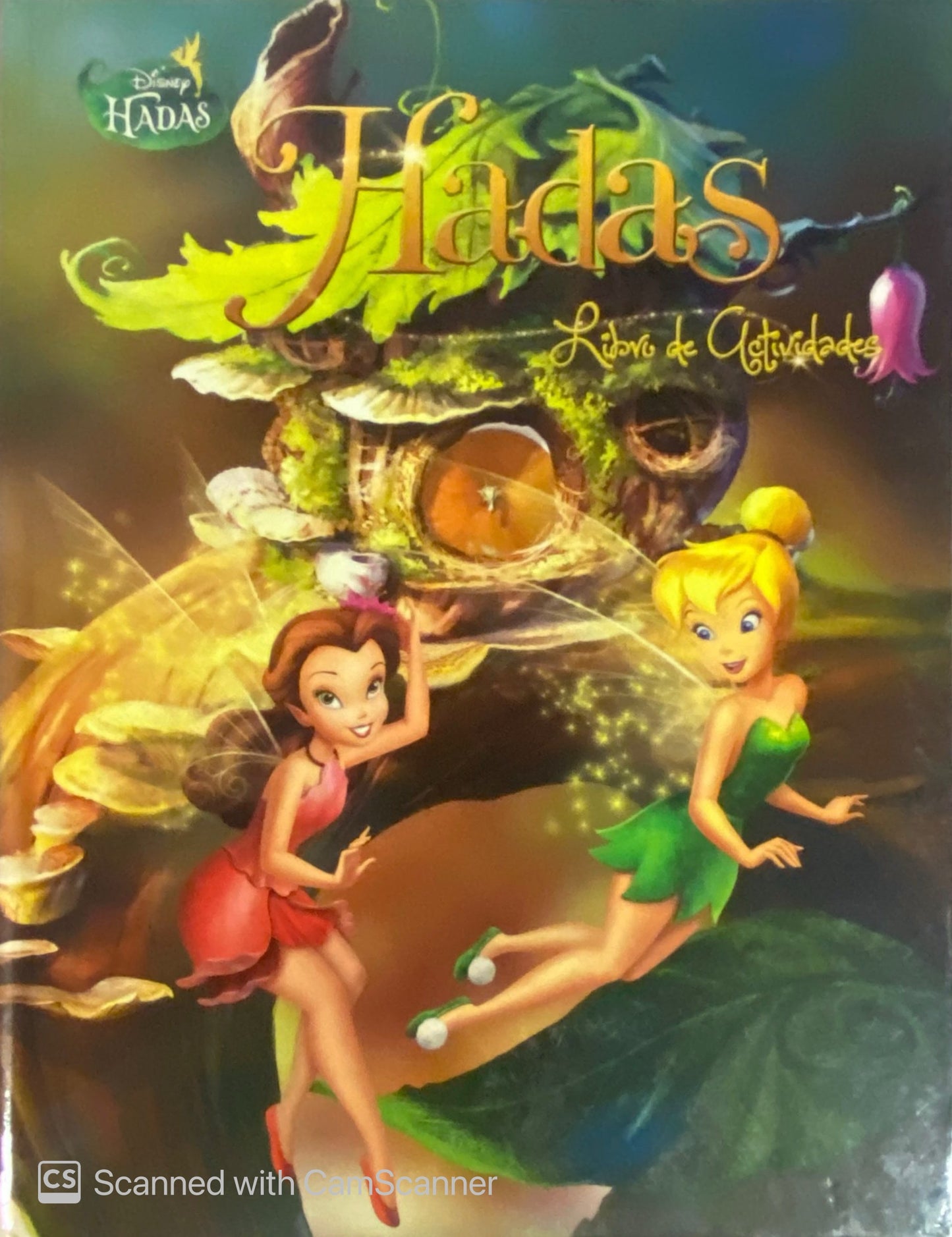 Hadas - Libros de actividades