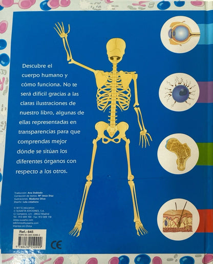 El cuerpo humano con transparencias