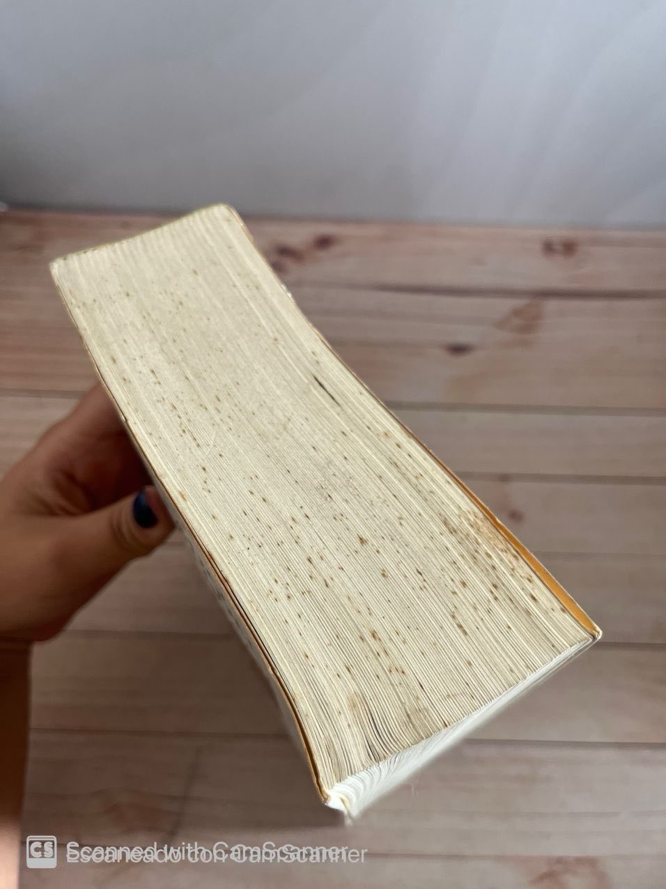 El lado oscuro del amor | Rafik Schami