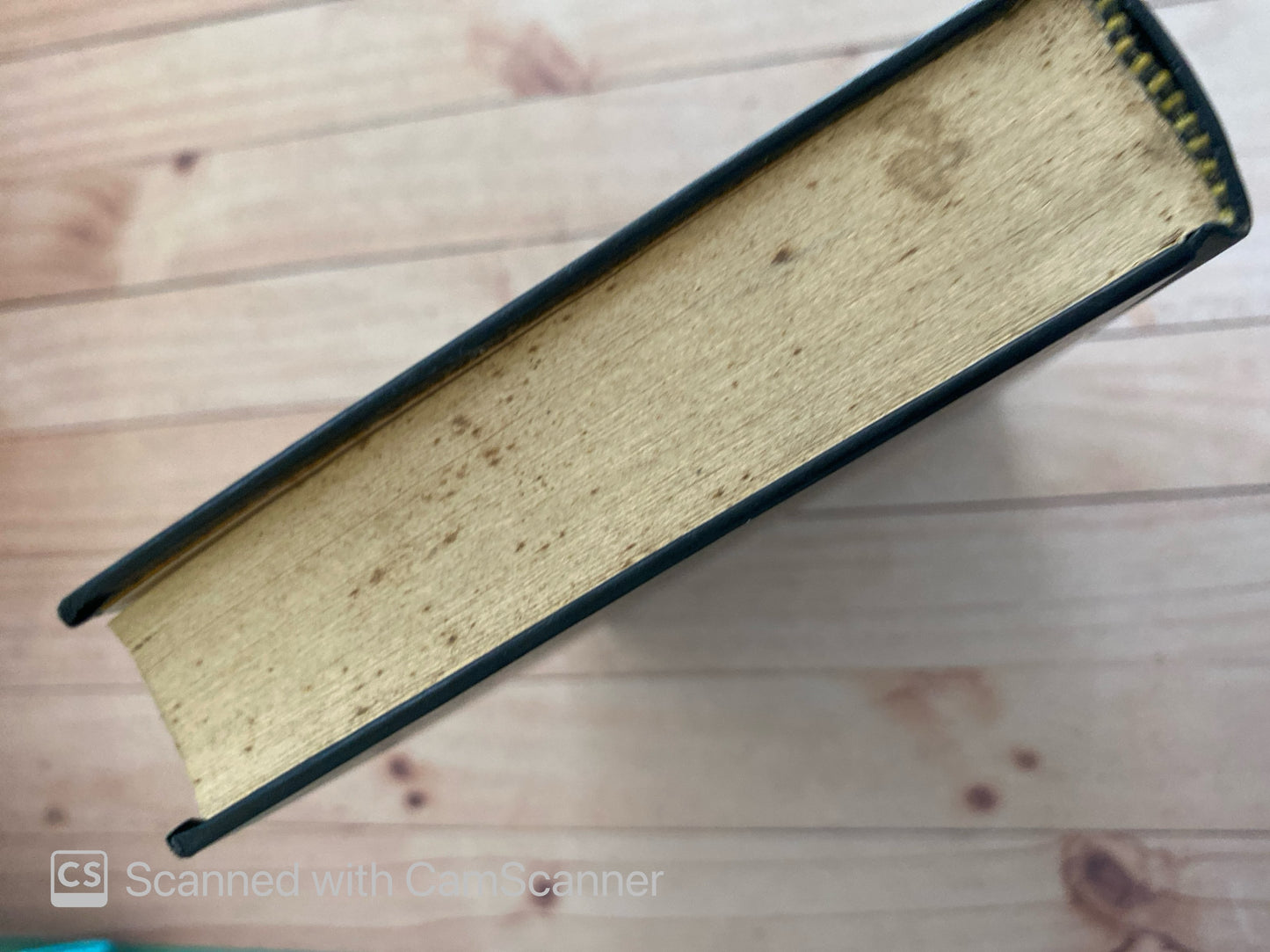 Crimenes Imaginarios / Rescate por un perro |Patricia Highsmith