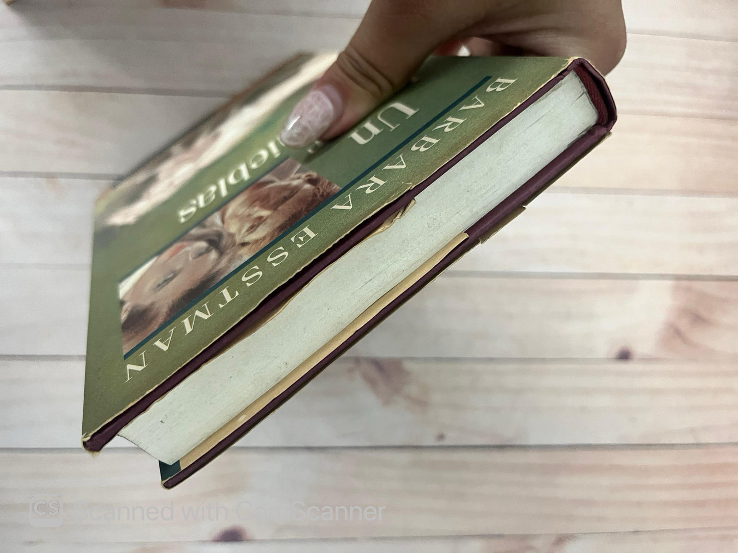 Un hogar en tinieblas | Barba Esstman