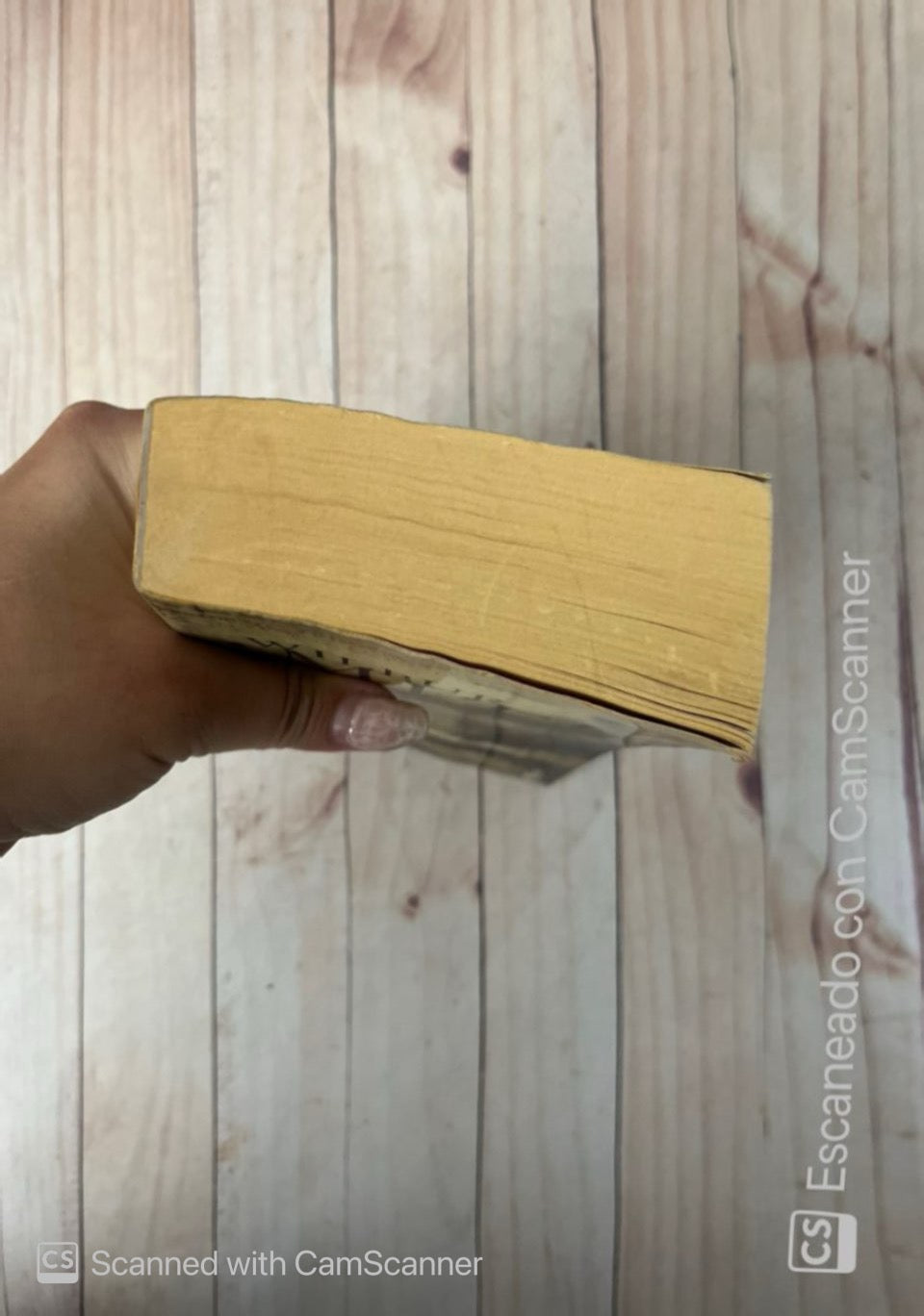 Aves de presa | Wilbur Smith