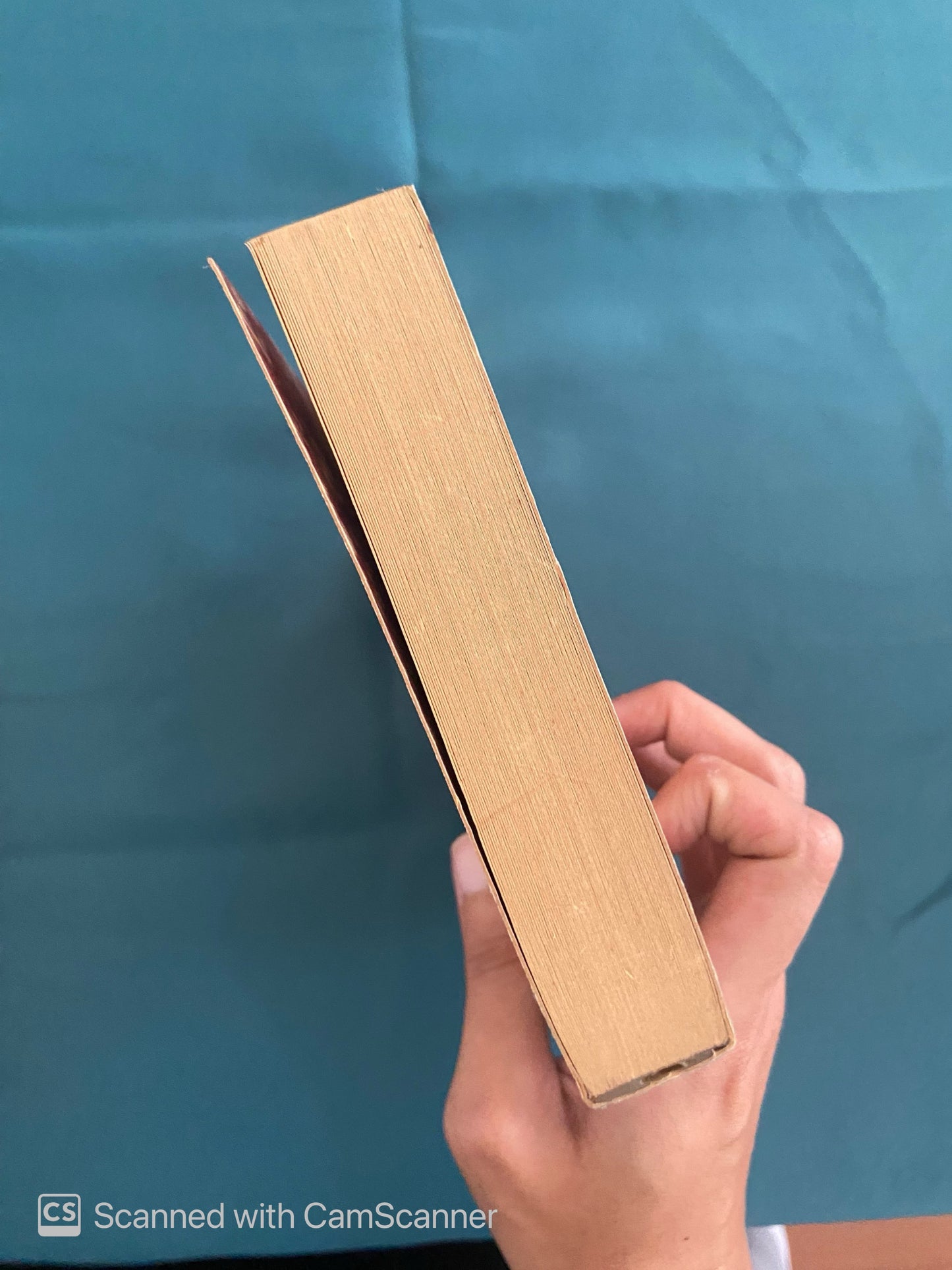 Marie Curie | Robert Reid