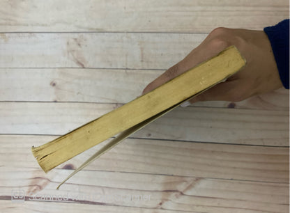 Dafne Desvanecida | José Carlos Somoza