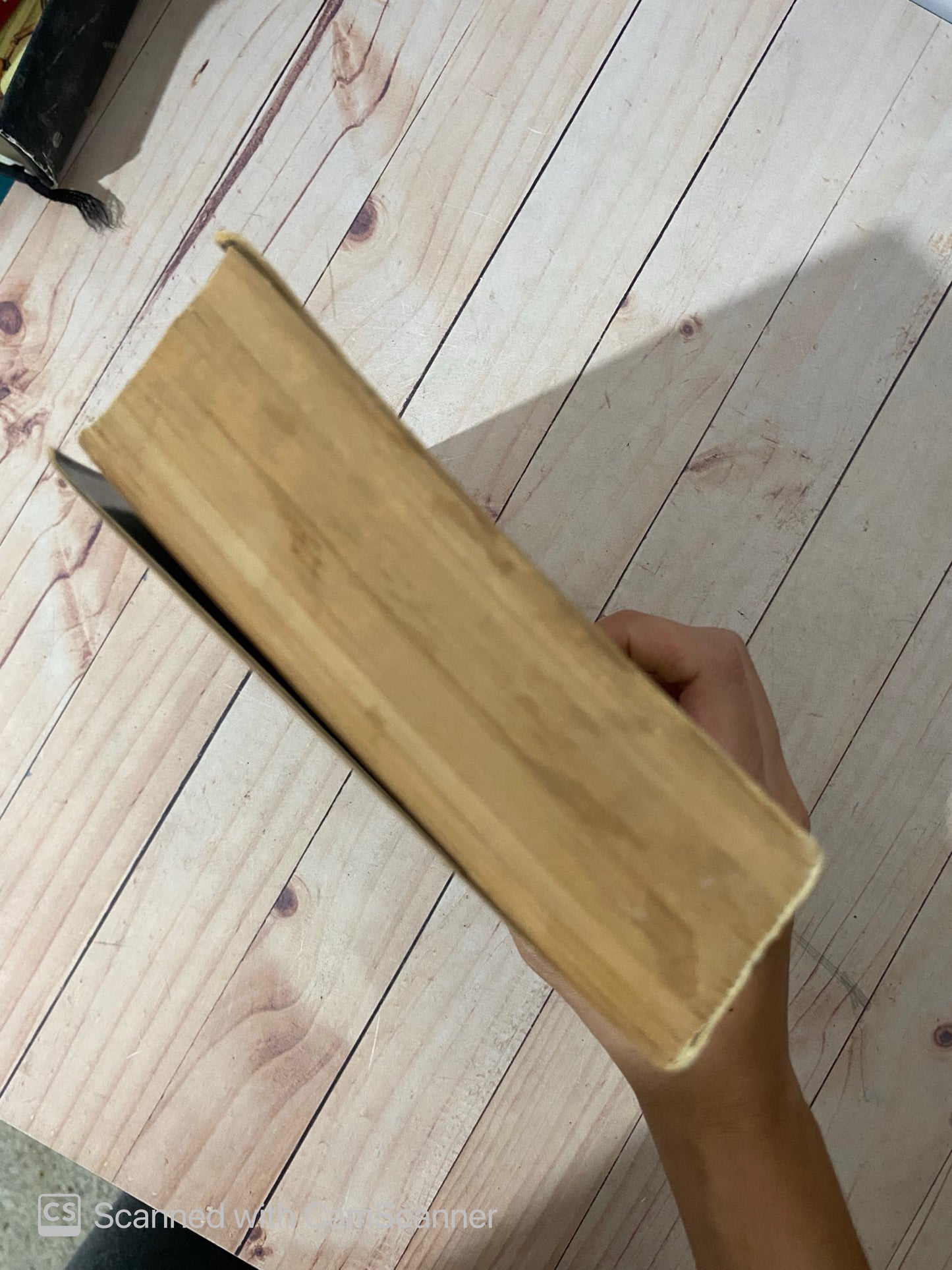 El hechizo de charleston | Alexandra Ripley