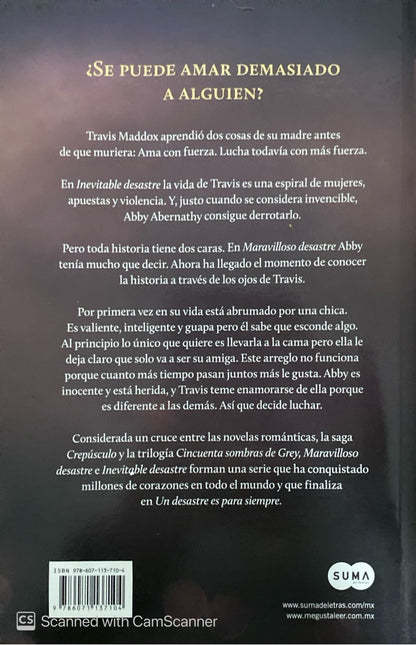 Inevitable desastre | Jamie McGuire