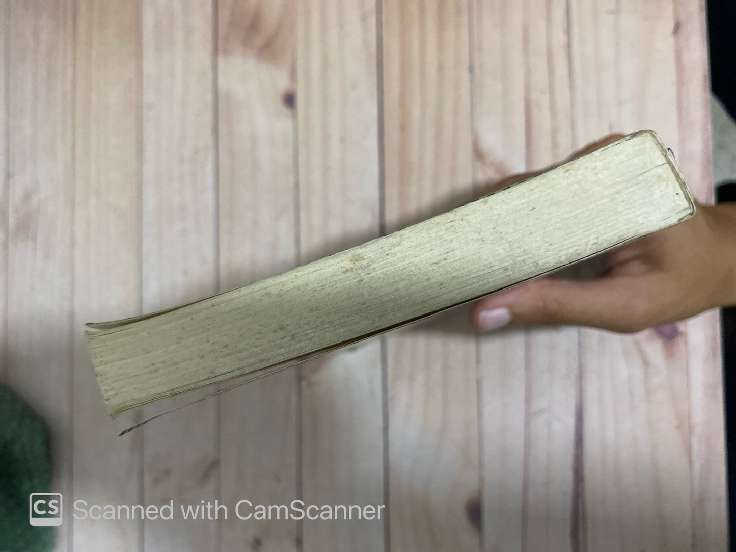 Por último, el cuervo | Italo Calvino