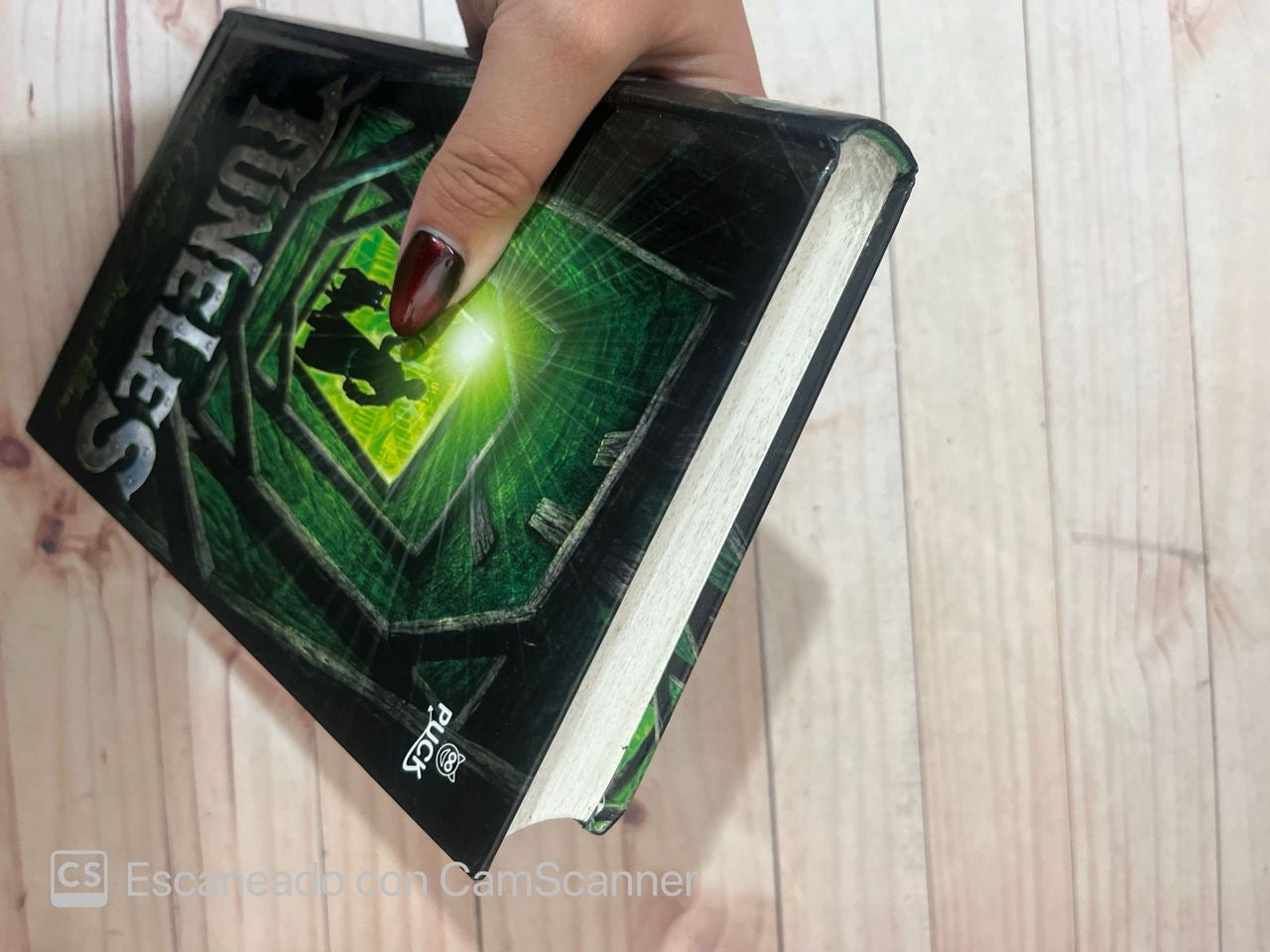 Túneles | Roderick Gordon y Brian Williams
