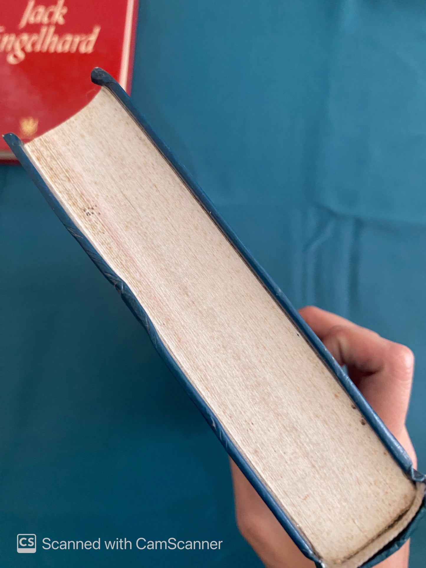 Tuareg | Alberto VazqueZ Figueroa