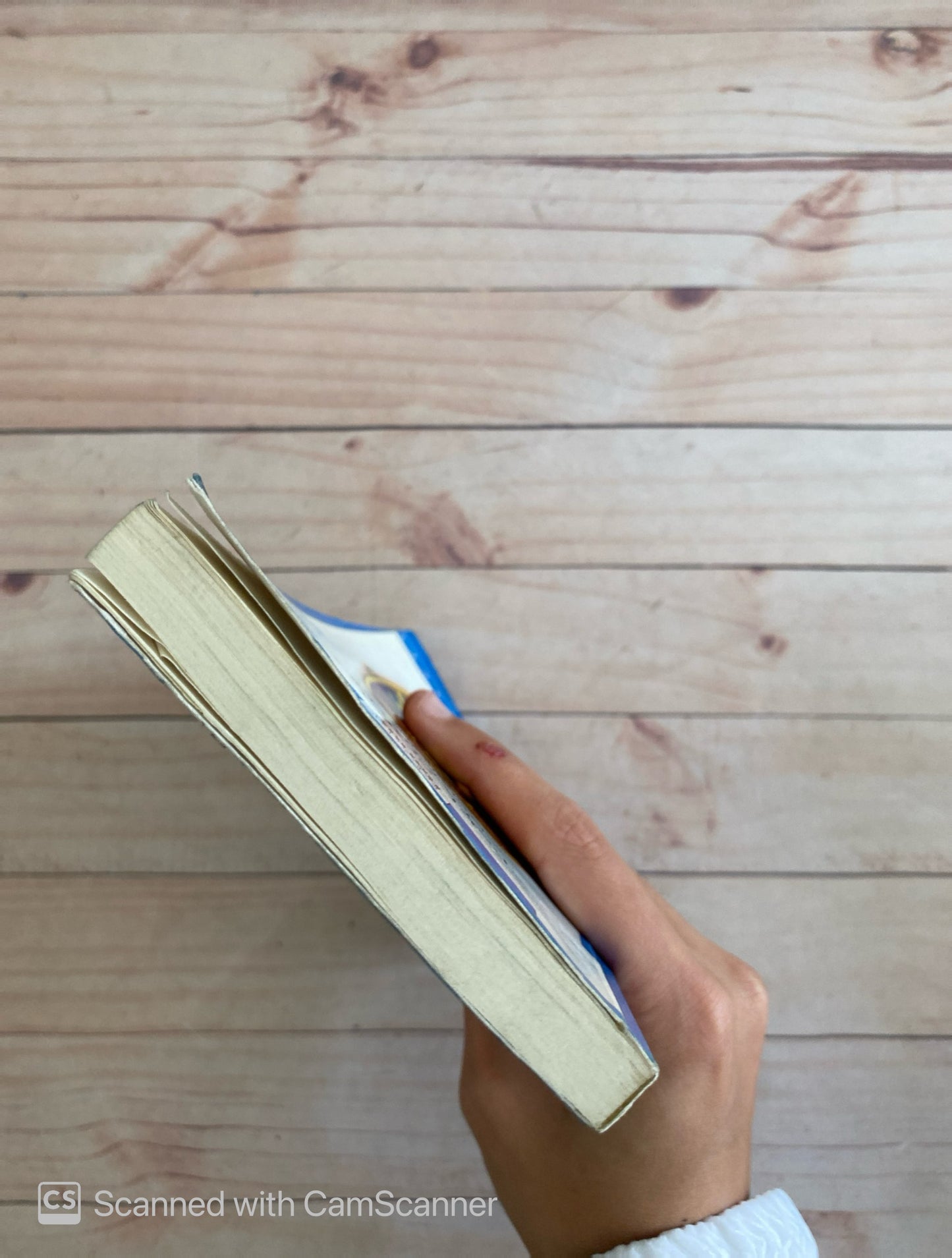 El sofá estampado | Lygia Bojunga Nunes