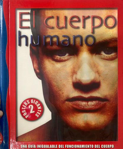 El cuerpo humano