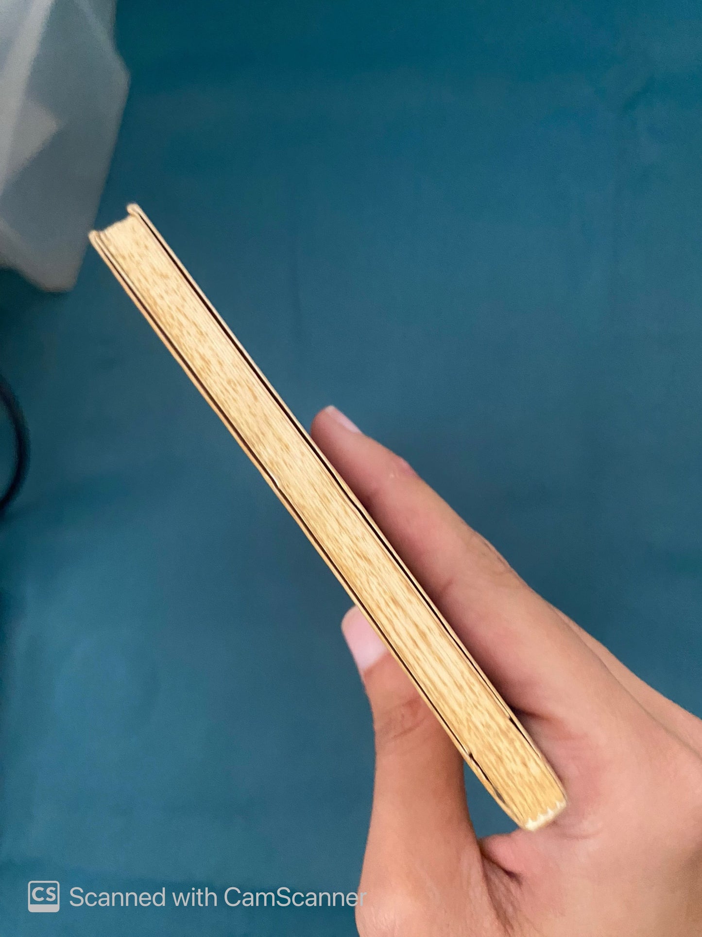 Los escafandristas | Fedosy Santaella