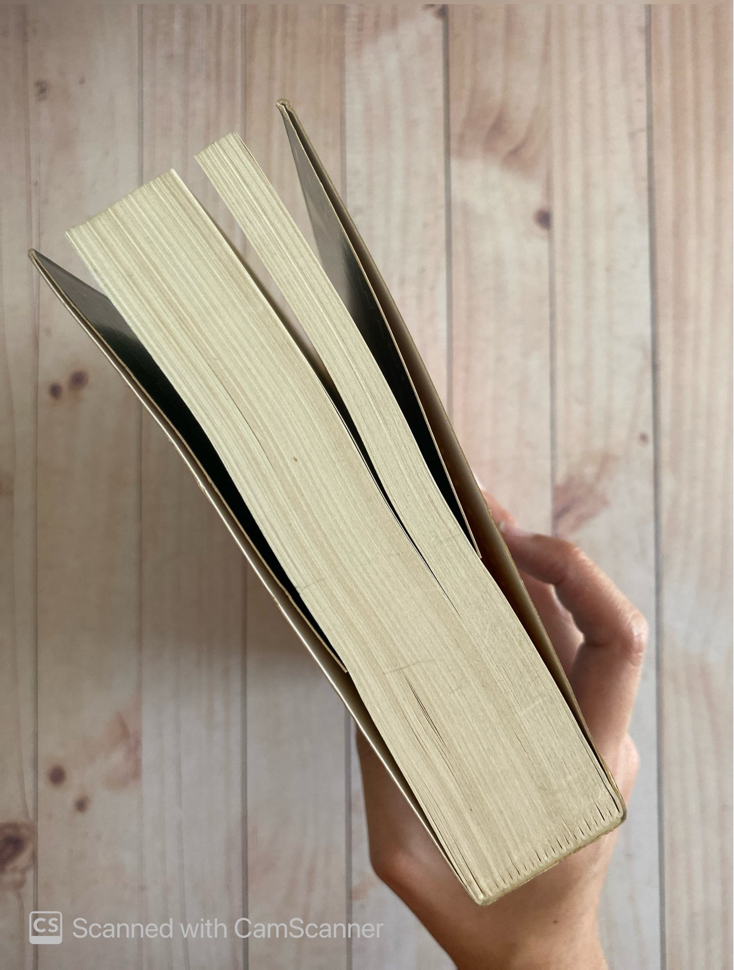 El teatro de  los lirios | Lulu Wang