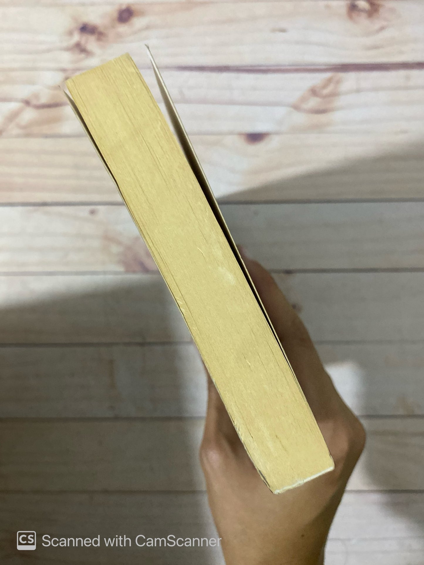 El secreto del inquisidor | Catherine Jinks
