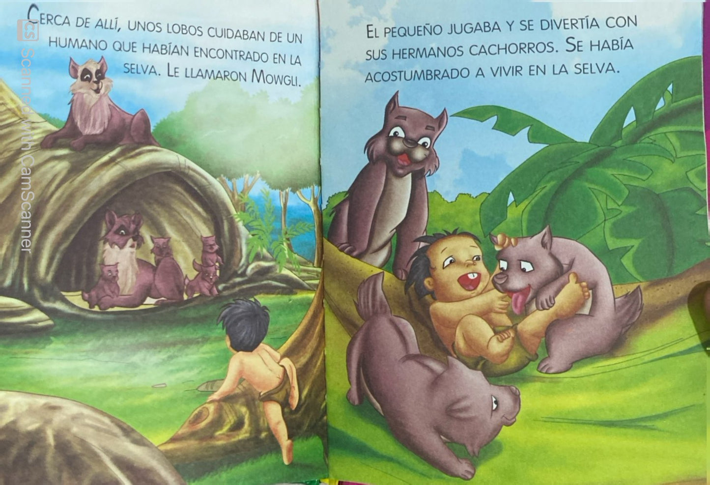 Cuatro cuentos para soñar